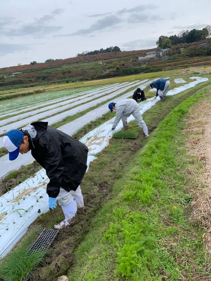 農業高校生の実習生がきてくれました！